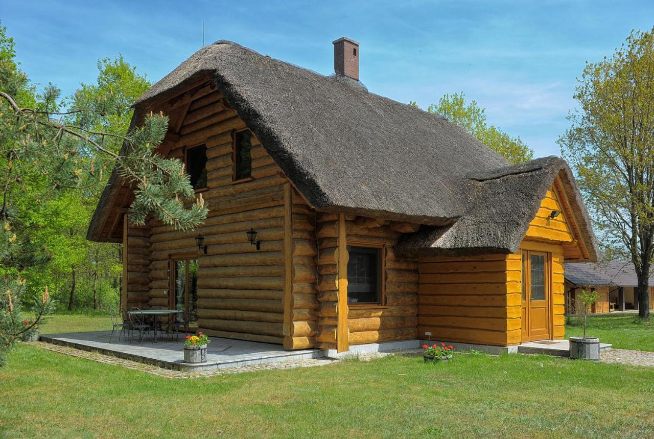 Dom Pod Sosnami Ferienhaus